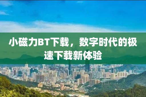 小磁力BT下載，數字時代的極速下載新體驗