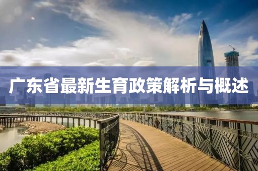 廣東省最新生育政策解析與概述