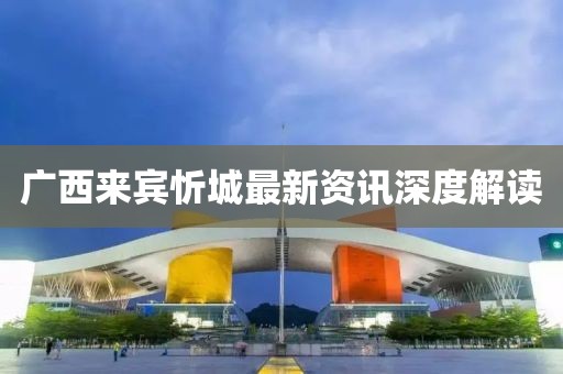 廣西來賓忻城最新資訊深度解讀