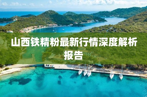 山西鐵精粉最新行情深度解析報告