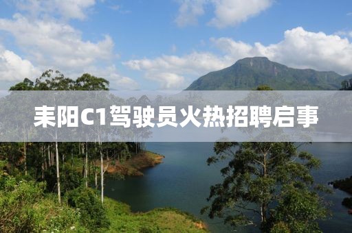 耒陽C1駕駛員火熱招聘啟事