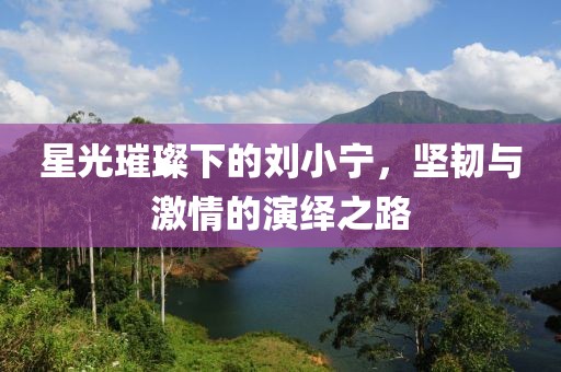 星光璀璨下的劉小寧，堅韌與激情的演繹之路