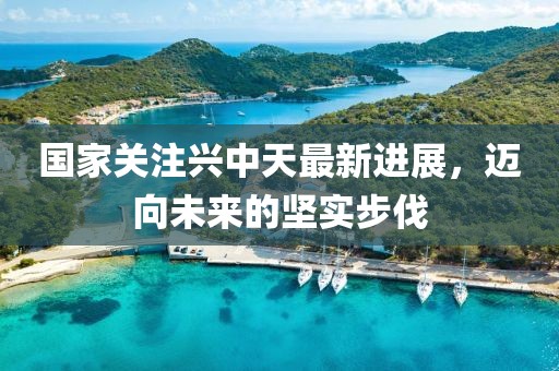 國家關注興中天最新進展，邁向未來的堅實步伐