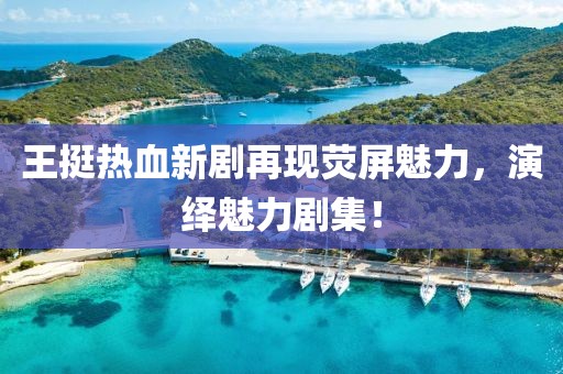 王挺熱血新劇再現熒屏魅力，演繹魅力劇集！