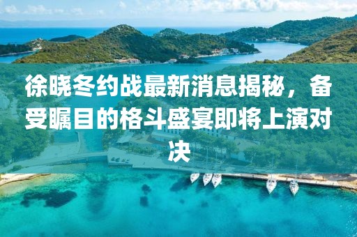 徐曉冬約戰最新消息揭秘，備受矚目的格斗盛宴即將上演對決