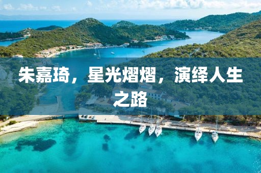 朱嘉琦，星光熠熠，演繹人生之路