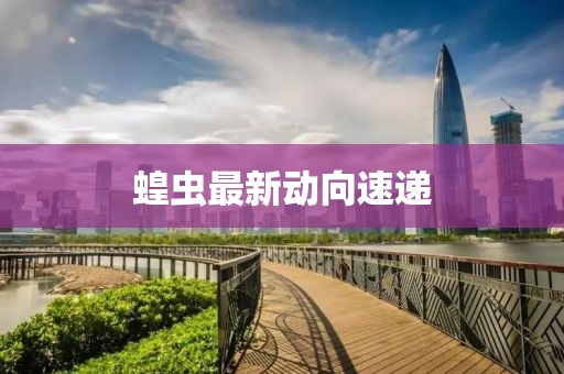 蝗蟲最新動向速遞
