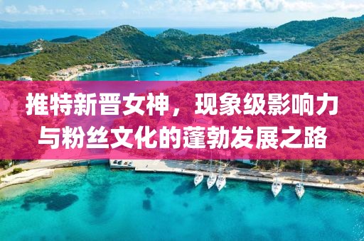 推特新晉女神，現象級影響力與粉絲文化的蓬勃發展之路