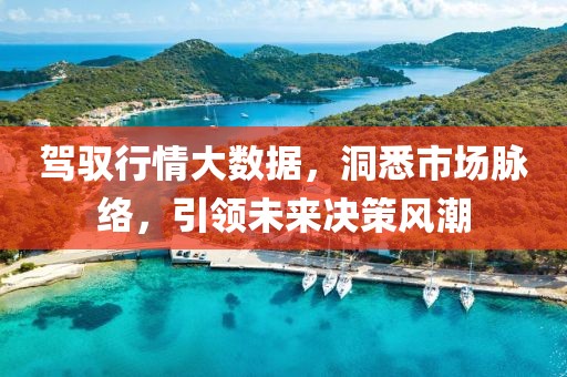 駕馭行情大數據，洞悉市場脈絡，引領未來決策風潮