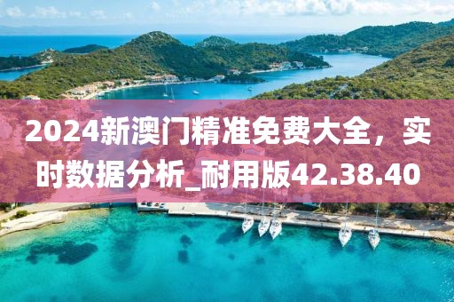 2024新澳門精準免費大全，實時數據分析_耐用版42.38.40