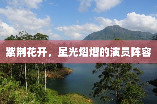 紫荊花開，星光熠熠的演員陣容