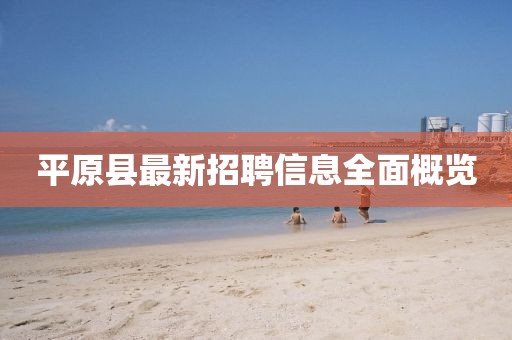平原縣最新招聘信息全面概覽