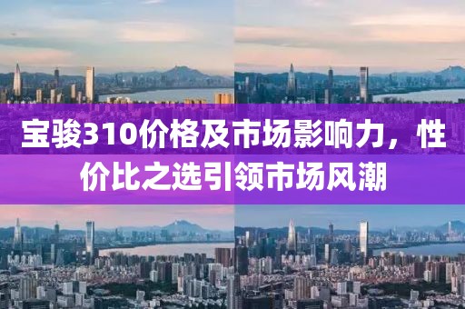 寶駿310價格及市場影響力，性價比之選引領市場風潮