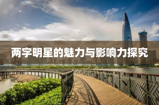 兩字明星的魅力與影響力探究