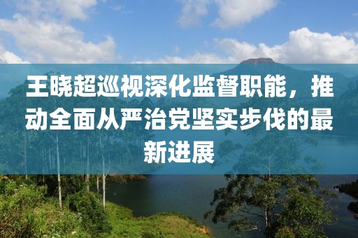 王曉超巡視深化監督職能，推動全面從嚴治黨堅實步伐的最新進展
