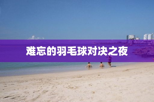 難忘的羽毛球對決之夜