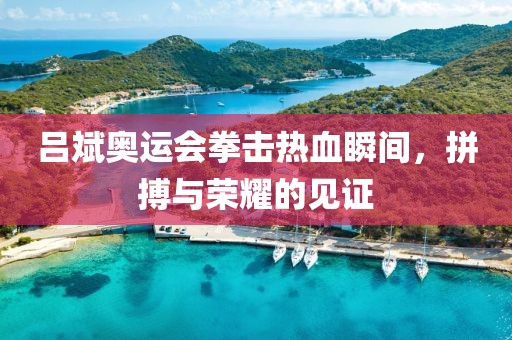 呂斌奧運會拳擊熱血瞬間，拼搏與榮耀的見證