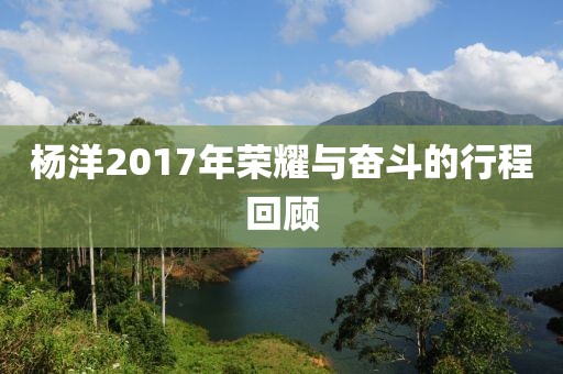楊洋2017年榮耀與奮斗的行程回顧