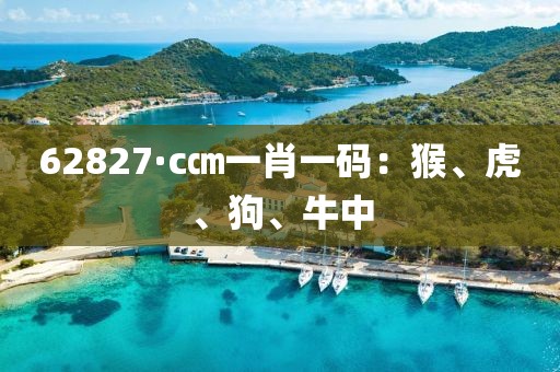 傲似公主 第11頁