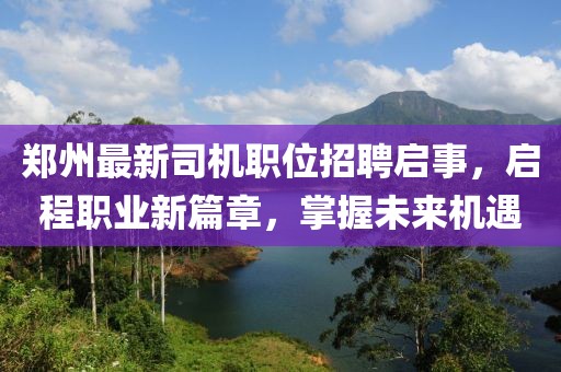 鄭州最新司機職位招聘啟事，啟程職業新篇章，掌握未來機遇