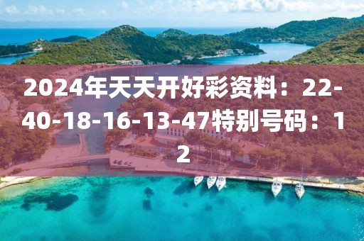 2024年天天開好彩資料：22-40-18-16-13-47特別號碼：12