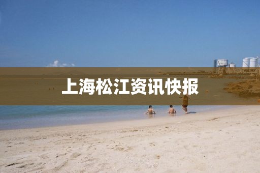 上海松江資訊快報