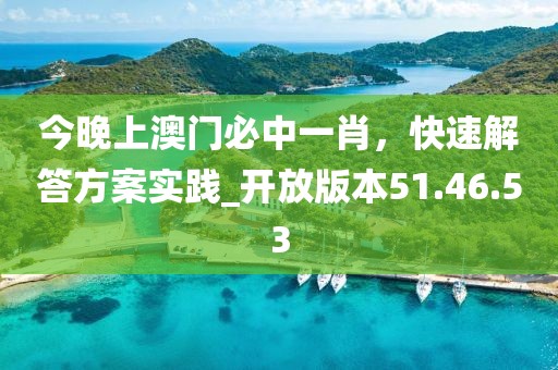 今晚上澳門必中一肖，快速解答方案實踐_開放版本51.46.53