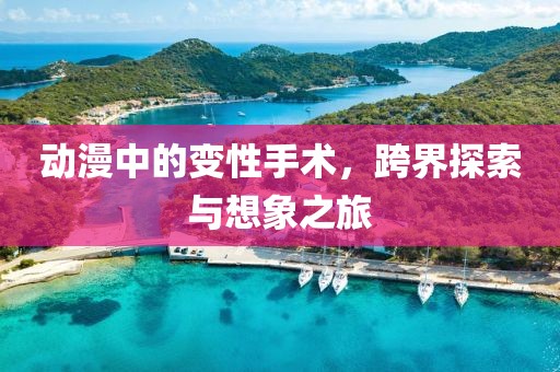 動漫中的變性手術，跨界探索與想象之旅