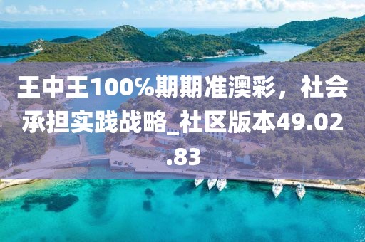王中王100℅期期準澳彩，社會承擔實踐戰略_社區版本49.02.83