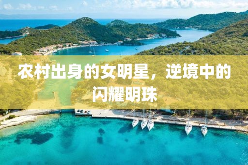 農村出身的女明星，逆境中的閃耀明珠