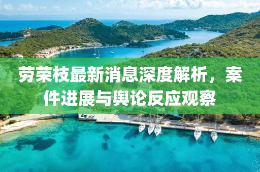 勞榮枝最新消息深度解析，案件進展與輿論反應觀察