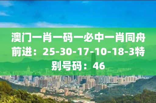 澳門一肖一碼一必中一肖同舟前進：25-30-17-10-18-3特別號碼：46