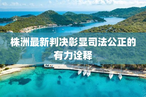 株洲最新判決彰顯司法公正的有力詮釋
