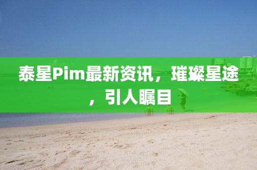泰星Pim最新資訊，璀璨星途，引人矚目