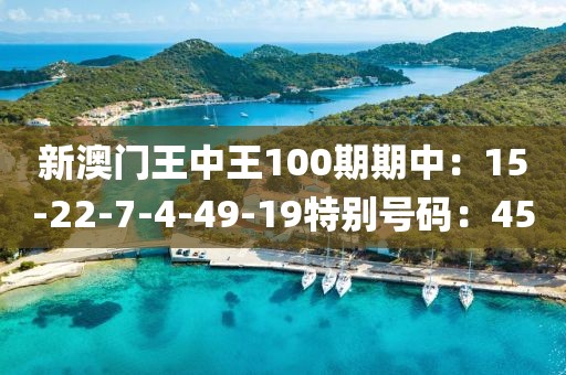 新澳門王中王100期期中：15-22-7-4-49-19特別號碼：45