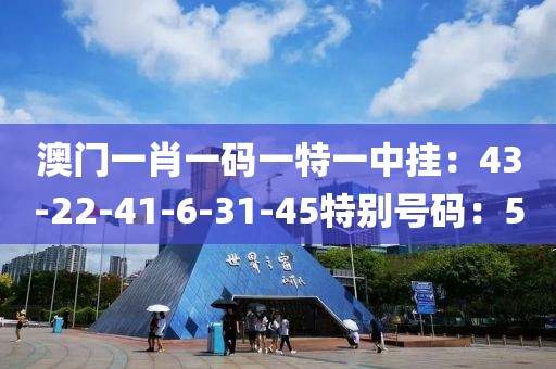 澳門一肖一碼一特一中掛：43-22-41-6-31-45特別號碼：5