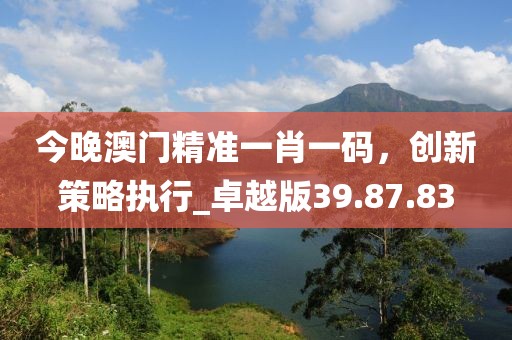 今晚澳門精準一肖一碼，創新策略執行_卓越版39.87.83