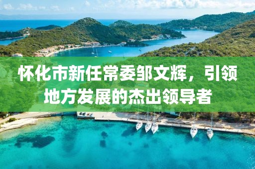 懷化市新任常委鄒文輝，引領地方發展的杰出領導者