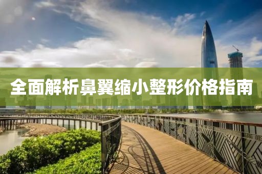 全面解析鼻翼縮小整形價格指南