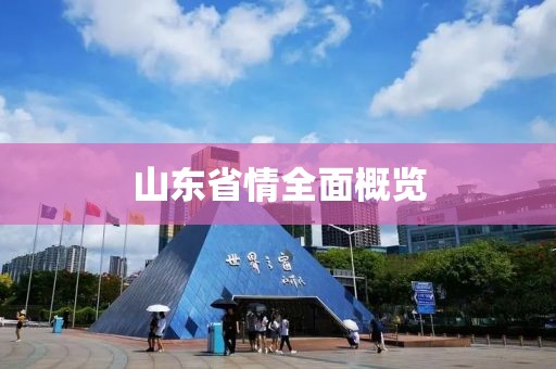 山東省情全面概覽