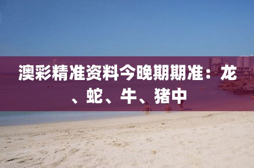澳彩精準資料今晚期期準：龍、蛇、牛、豬中