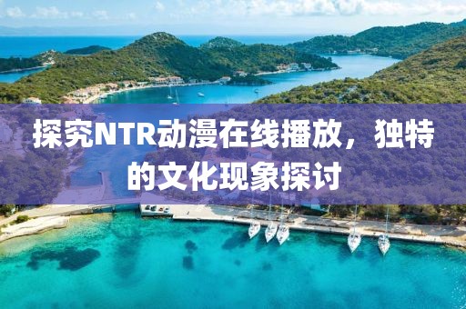 探究NTR動漫在線播放，獨特的文化現象探討