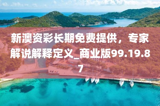 新澳資彩長期免費提供，專家解說解釋定義_商業版99.19.87