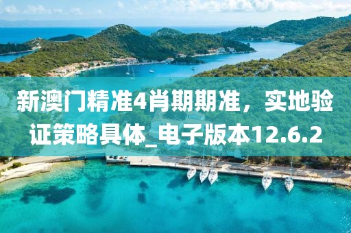 新澳門精準4肖期期準，實地驗證策略具體_電子版本12.6.2