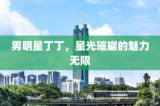 男明星丁丁，星光璀璨的魅力無限