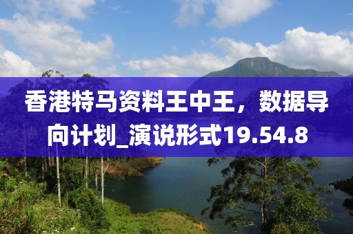 香港特馬資料王中王，數據導向計劃_演說形式19.54.8