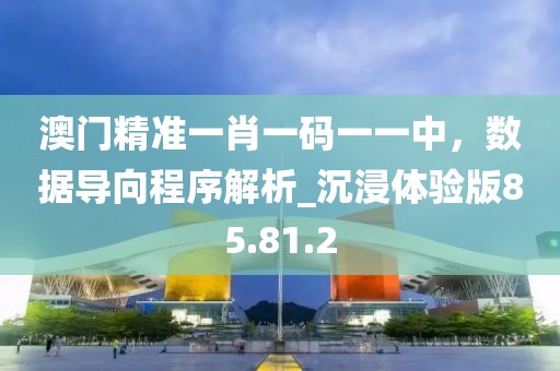 澳門精準一肖一碼一一中，數據導向程序解析_沉浸體驗版85.81.2