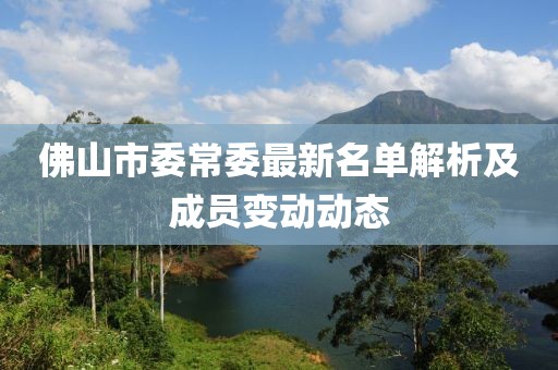 佛山市委常委最新名單解析及成員變動動態