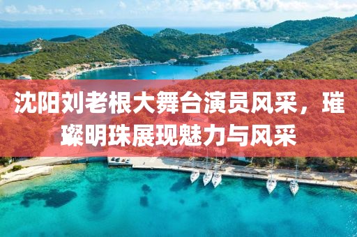 沈陽劉老根大舞臺演員風采，璀璨明珠展現魅力與風采