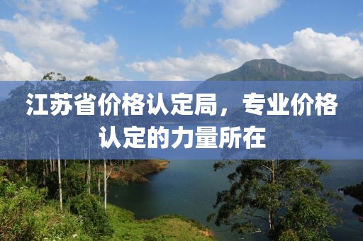 江蘇省價格認定局，專業價格認定的力量所在